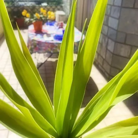 Tittihome * サンレモ